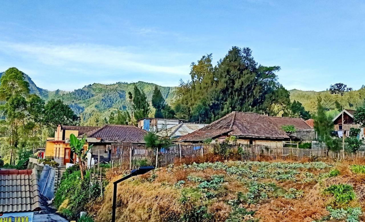 Homestay Anggun 布罗莫 外观 照片